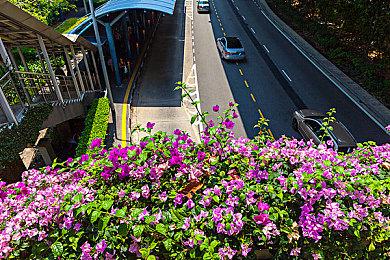 地牢冒险游戏《#BLUD》发售日预告 6月18日发售